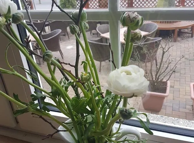 Hotel & Zum Eichenkranz 3*